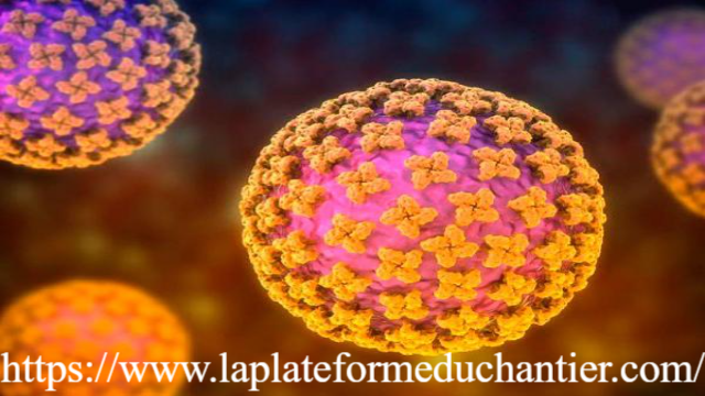 Bingkai Sepekan: Heboh Wabah Hantavirus Mematikan